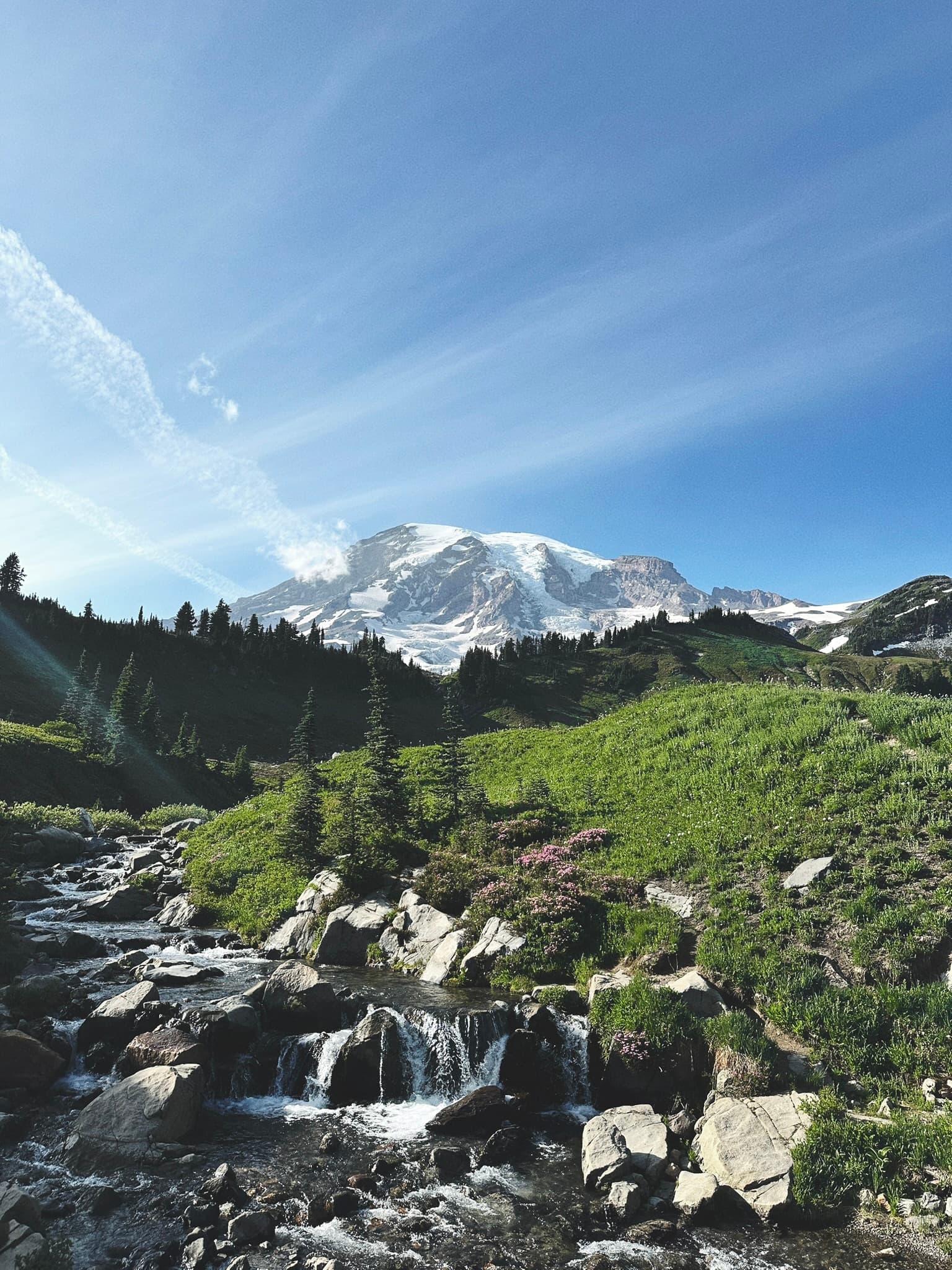 Mt. Rainier